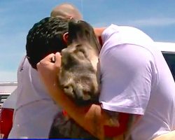 Soldier Falls In Love With Puppy In Iraq, Reunite After 1-Month