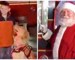 Little Boy Denied Visit To Santa Claus Because He Has A Service Dog