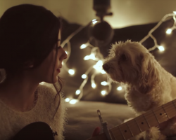 Woman Beautifully Serenades Her Dog With A Christmas Song