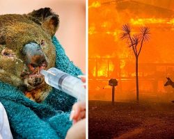 Cops Hunt Down 24 Sinister Arsonists Who Deliberately Set The Australian Fires