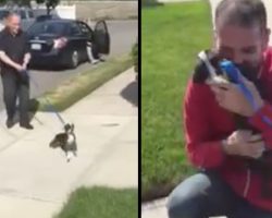 Bella Thinks It’s Just Another Walk, Gets Reunited With Her Dad