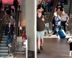 Dog Hasn’t Seen Soldier In 10-Months And Goes Bonkers Once She Spots Her At Airport