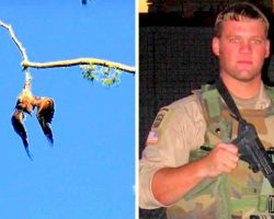 Town Refuses To Help Poor Eagle Hanging From A Tree, So Army Veteran Steps In