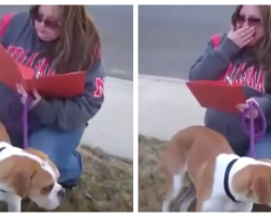 Family Rejects Dog On Adoption Day, Foster Mom Realized She’s Been ‘Set Up’