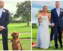 Wounded Veteran Enlists Golden Retriever As Best Man On His Wedding Day