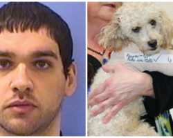 Man Who Threw Poodles Off Parkade Roof Gets Released From Prison