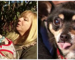 Woman Opens Heart & Turns Her Home Into Hospice Facility For Senior Dogs