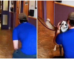 Lost For 3-Years, He Howls With Joy When He Sees His Dad Standing In Front Of Him