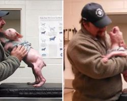 Man Returns To Adopt The Dog He Rescued, And The Pup Couldn’t Be Happier