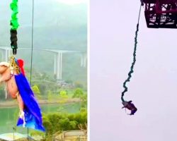 Theme Park Shamelessly Forces Pig To Do A Bungee Jump, Call It “Entertainment”