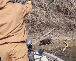 Fishermen Find Abandoned Pup On The River Bank, Whistle For Him To Come Closer