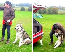 Proud Dog Feels Insulted When Mom Asks Him To Use The Back Door To Get In Car