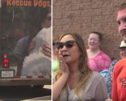 Couple Adopts Dog Without Meeting Them First & Then A Rescue Truck Pulls Up & Trailer Door Opened