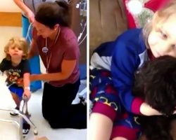 Kind Breeder Donates Puppy To Sick Boy Who Fell In Love With Hospital’s Therapy Dog