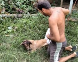 Man Uses The Shirt Off His Back To Help Stray On The Brink Of Death