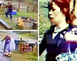 Savage Woman Punches, Kicks & Bites 8-Month-Old Dog, No Charges Filed Yet