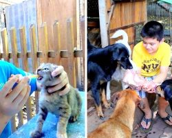9-Year-Old Uses Up Pocket Money To Open A ‘No-Kill’ Shelter