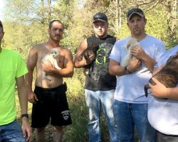 They Sacrificed Their Bachelor Party To Save Sick Puppies They Found In Woods