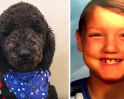 Woman Gets Rid Of Autistic Boy’s Service Dog, Then Kid Goes Missing Days Later