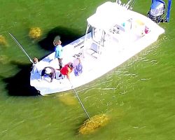 Man Harasses Manatee By Poking It With A Pole, Laughs & High Fives His Friend