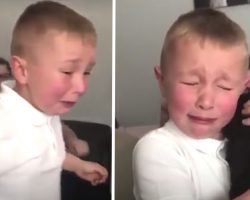Boy, 7, cries tears of joy when he gets a puppy – tells him ‘I am your bestest friend now’
