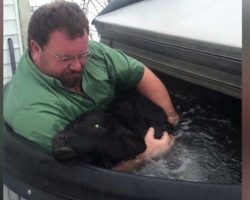 Man Finds Baby Cow Freezing In The Snow, Runs And Fires Up The Hot Tub