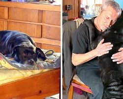 Dog Senses That Dad Is Having A Heart Attack In His Sleep, Rushes To Save Him