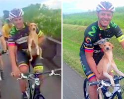 Cyclist Comes Across A Depressed Puppy Who Was Dumped In The Middle Of Nowhere