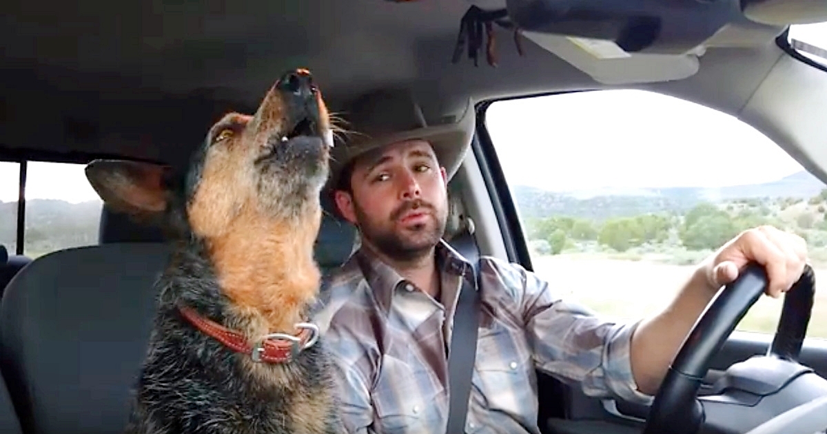 Country-Loving Dog Can’t Resist Singing Along Whenever Her Favorite Song Comes On