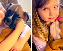 Girl Cradles Little Puppy In Arms & Sings A Soothing Lullaby To Help Her Sleep