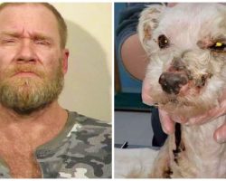 Man Pours Toxic Lye All Over Senior Dog, Lets Him Writhe 2 Days In Pain