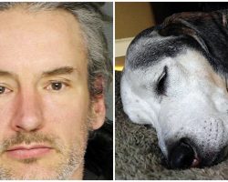 Man Slashed Dog To Death With An Axe Because He ‘Refused To Go Outside’