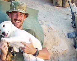 Marine Spots Puppy In Middle Of Afghanistan War Zone & Sneaks Him Back Home