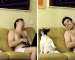 Mom Caught Dad & Dog Jamming Together And Their Cute Dance Routine