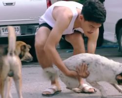 Good Samaritan Dedicates His Time To Giving Random Strays Much-Needed Baths