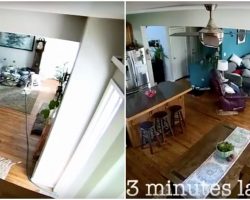 Security Cam Caught The Moment When Dog Brings A Water Hose Into The House
