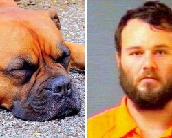 Scumbag Steals Dog, Stabs Him To Death & Then Cuts Body In Half With Chainsaw
