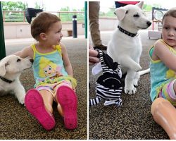 Toddler With No Feet Gets Pup Without Paw: “That’s My Puppy, He’s Just Like Me”