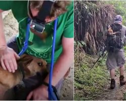 No One Would Help Dying Dog In Remote Mountain Village So They Took Over