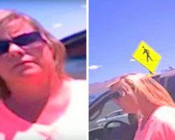 Woman Locks Her Dogs In 114F Hot Car & Cop Asked Her To Sit Locked In Same Hot Car