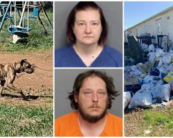 Couple Forced Dog To Live Chained Up With No Food Or Water Outside Condemned Home