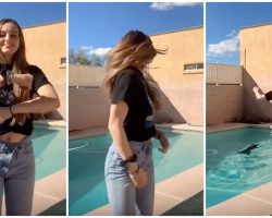 Teen Jumps Into Action When Dog Starts To Drown During Dance Video