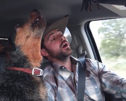 Dog Loves Country Music, But One Song Is Her Very Favorite