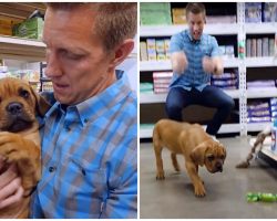 Man Brings Blind Homeless Pup To Pet Store & Buys Him Everything He Touches