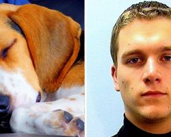 No Jail Time For Monster Who Beat Dog To Death For “Disobeying” Potty Commands