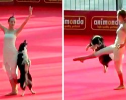 Ballerina Teaches Dog To “Dance” With Her, Gets Standing Ovation From Audience