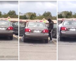 Man Beats Dog In Target Store Parking Lot For Having Diarrhea In His Car