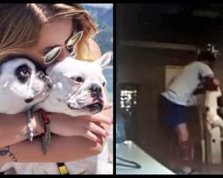 Woman Catches Fiancé On ‘Hidden’ Camera With Her Dogs, Immediately Calls Off Wedding