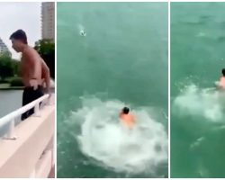 Jogger Immediately Jumps Off Bridge When He Catches Sight Of Drowning Dog Below