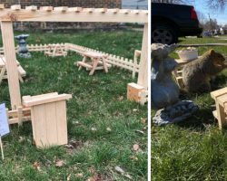 Man Builds A Tiny Restaurant In His Yard For All The Critters To Enjoy